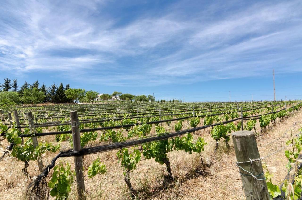Casas Na Vinha - Monte Da Casteleja, Wine Estate - Eco Turismo Rural ลากอส ภายนอก รูปภาพ