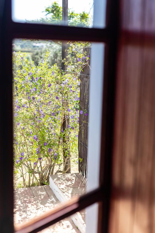 Casas Na Vinha - Monte Da Casteleja, Wine Estate - Eco Turismo Rural ลากอส ภายนอก รูปภาพ